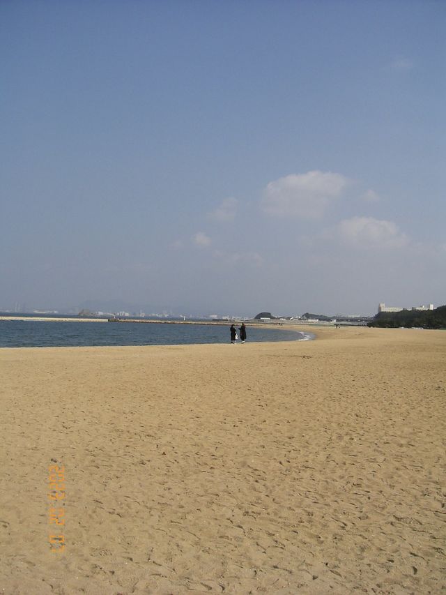 후쿠오카의 이국적인 장소 모모치해변🌊