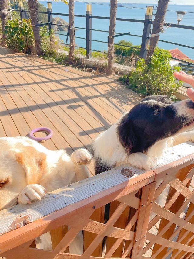 3층 독채 펜캉스 루프탑에서 힐링하기❤️