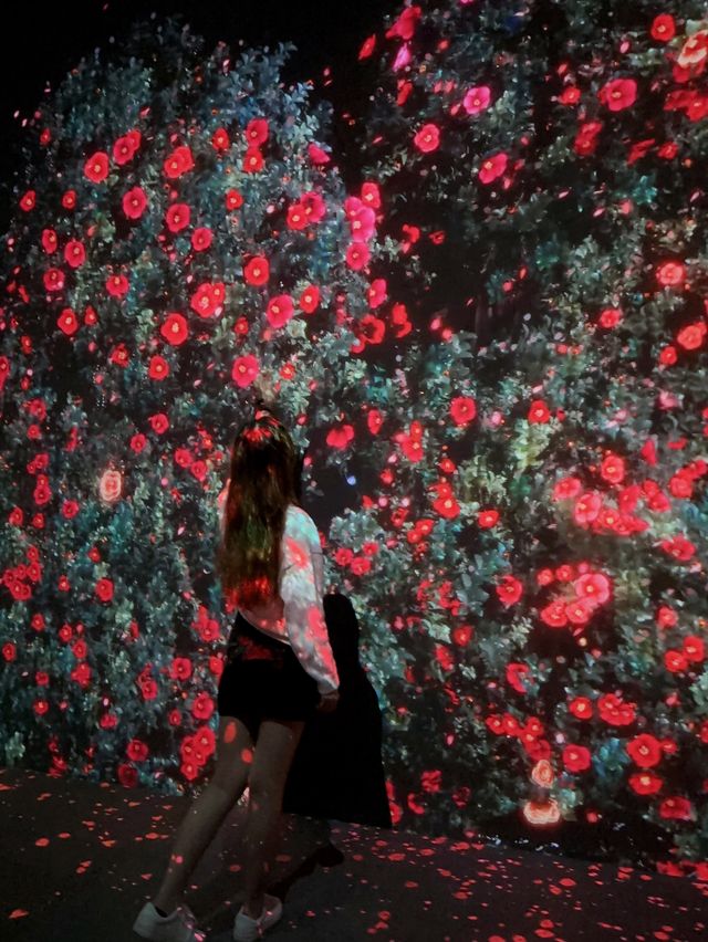 假日好去處  ︳沉浸式感官體驗