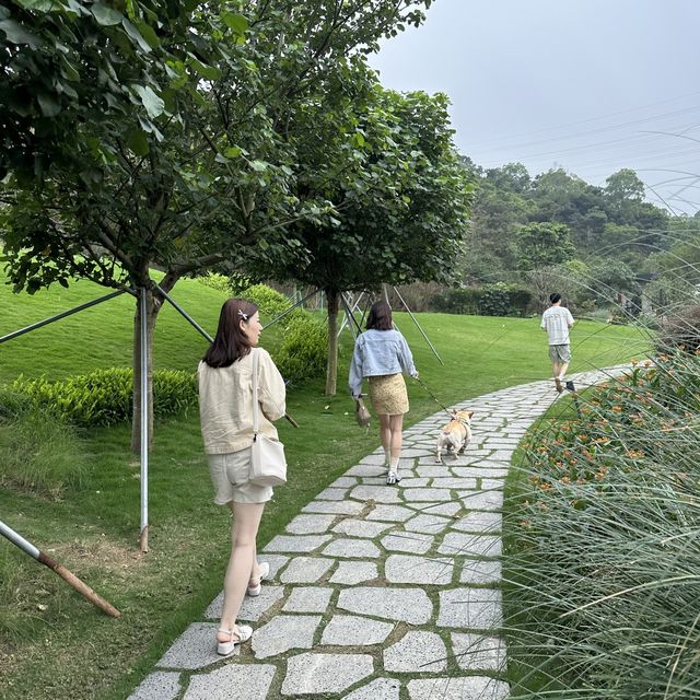 彷如宮崎駿漫畫的森林時光村