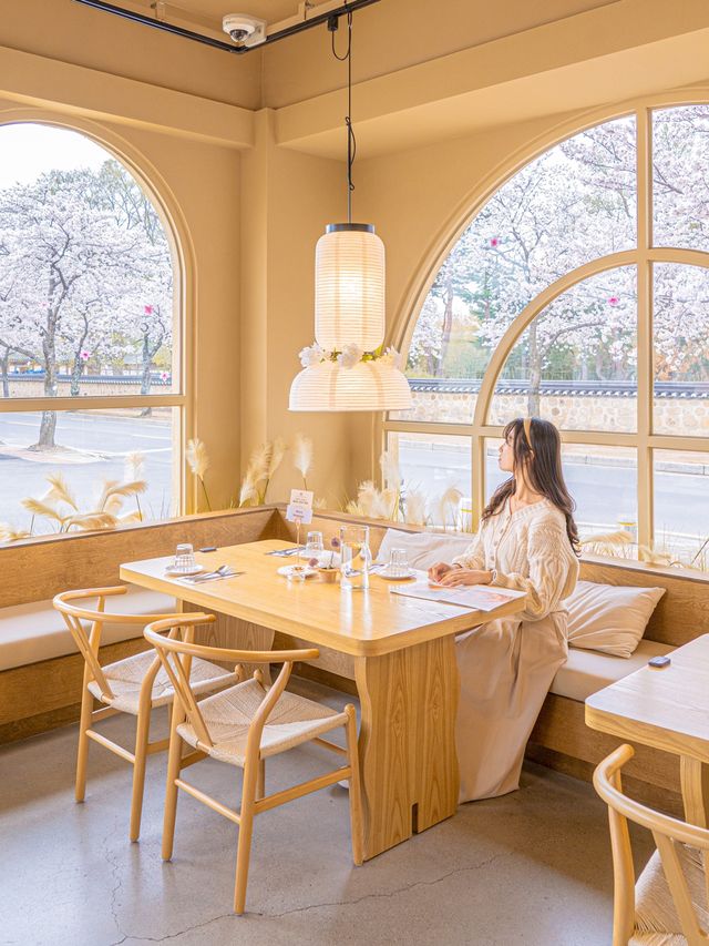 🌸내년에 꼭 가야할 [경주, 벚꽃 모음집]🌺