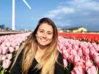 amazing flower fields in Japan