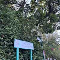 香港人的後花園——長洲