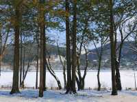 《首爾》冬季戀歌的拍攝地 唯美雪景南怡島 