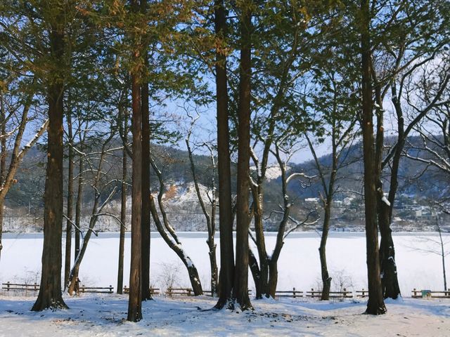 《首爾》冬季戀歌的拍攝地 唯美雪景南怡島 