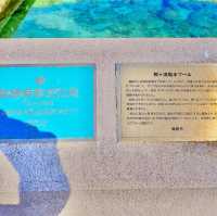 鴨ヶ浦