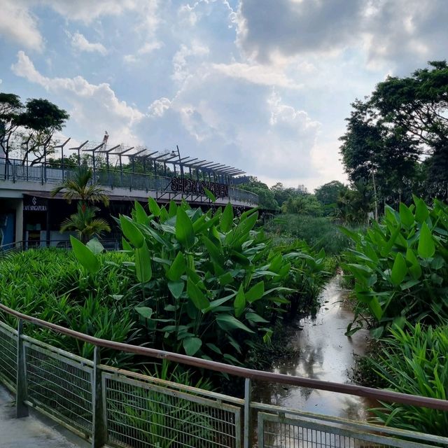 Relax with Nature At Admiralty Park