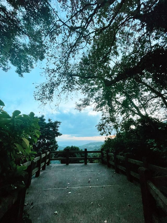 陽明山｜大屯瀑布區步道