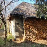 A Safari Staycation At Pilanesburg Safari