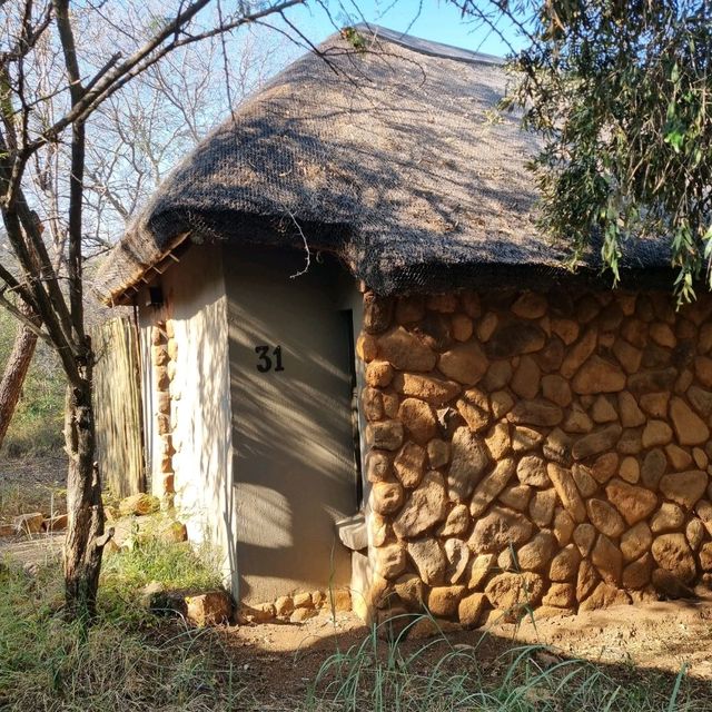 A Safari Staycation At Pilanesburg Safari