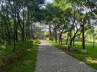 桃園景點_大湳森林公園