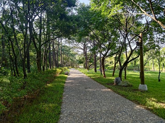 桃園景點_大湳森林公園