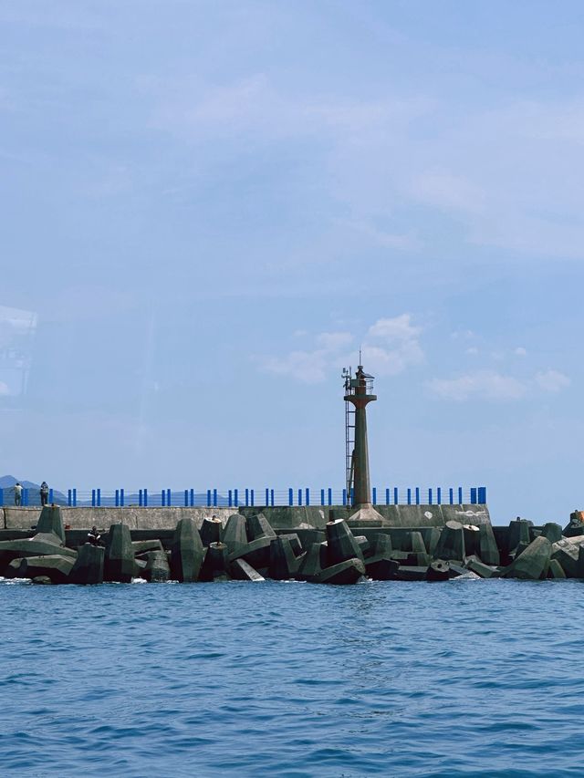 《宜蘭》搭乘遊艇出海賞鯨豚 一覽絕美海景-龜山島