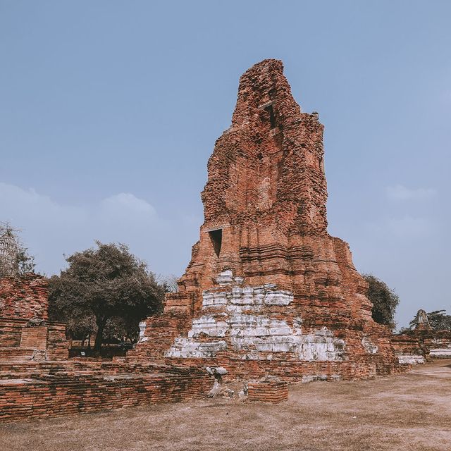 遊泰國🇹🇭大城瑪哈泰寺