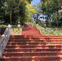 📝 福康寧公園🌳✨ 螺旋樓梯打卡位✨