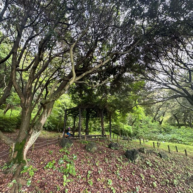 무료로 즐길 수 있는 자연생태 탐방원 🌴 한라수목원