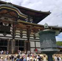 日本必到✍️奈良東大寺