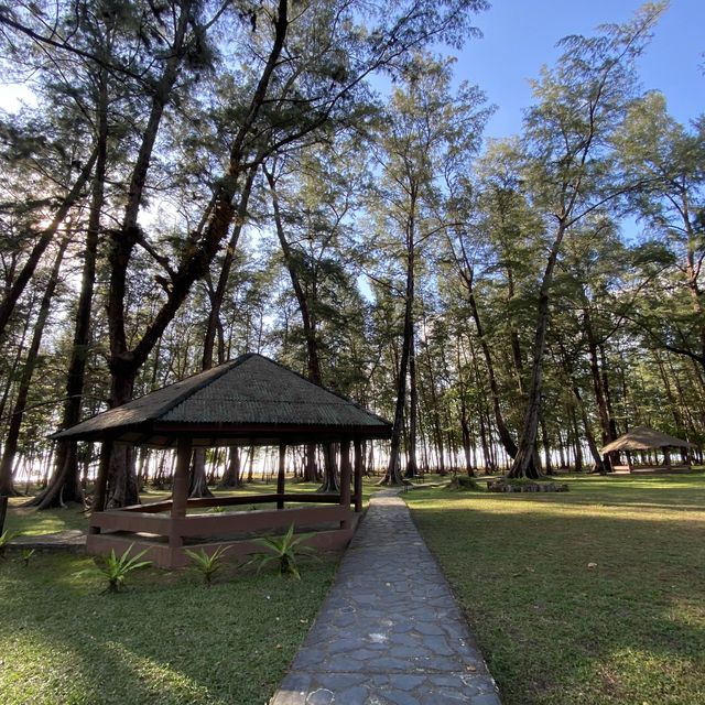 อุทยานแห่งชาติแหลมสน ประทับใจธรรมชาติ