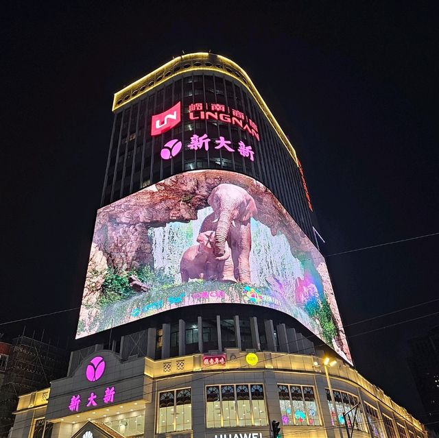 璀璨夜市的魅力：體驗廣州北京路步行街的熱鬧與活力