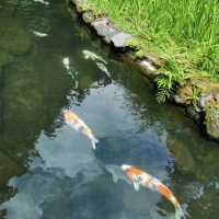 Portland Japanese Garden