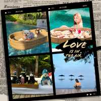 พูลวิลล่า 5 ดาว หัวหิน 🌟Pet friendly ขั้นสุด