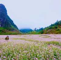 Hoàng Su Phì,  Hà Giang
