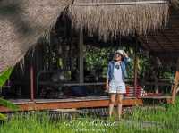 บ้านไร่ปลายนา อุทัยธานี