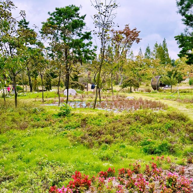 🌷 꽃과 자연의 심포니, 클래식이 나오는 경북천년숲정원에서 힐링여행해보세요!💕
