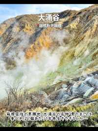 【箱根】行ってよかった！箱根のおすすめ観光スポット7選♨️
