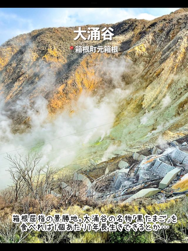 【箱根】行ってよかった！箱根のおすすめ観光スポット7選♨️