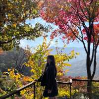 숲 속 산책하기 좋은 서울 근교 핫플🍁