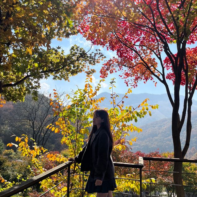 숲 속 산책하기 좋은 서울 근교 핫플🍁