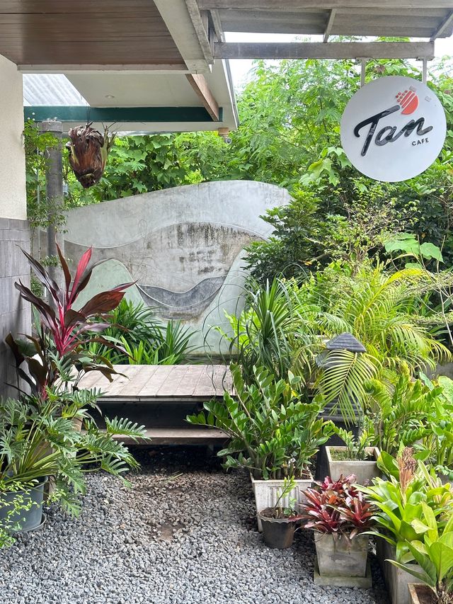 Tan cafe X