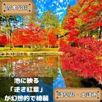 曽木公園
