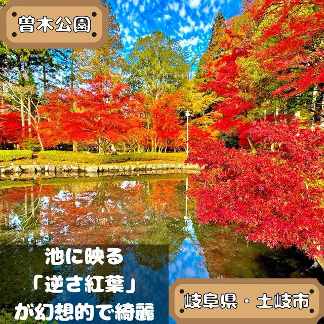 曽木公園