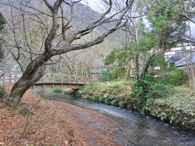 ทะเลสาบคินริน Kinrin Lake 