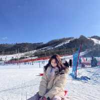 강원도 겨울 필수코스☃️ 눈썰매장으로 떠나요!