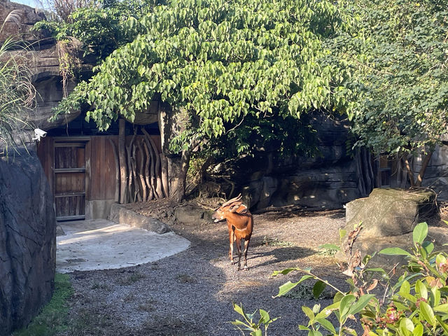 台北假日熱門景點，台北市立動物園