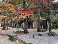 京都市南禪寺內的一座水路橋