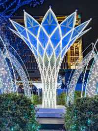 Winter Illumination สถานี Hakata จัดไฟปีใหม่แล้ว🎄
