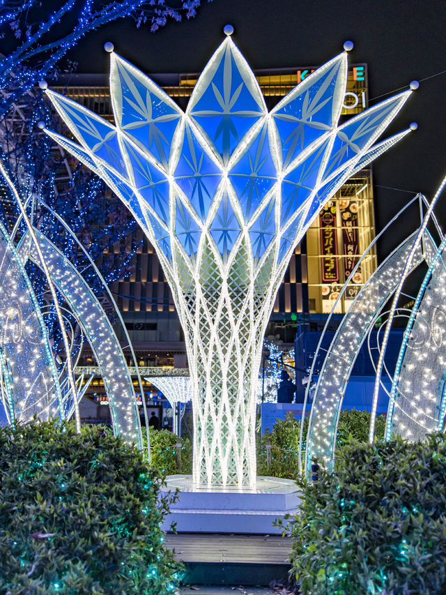 Winter Illumination สถานี Hakata จัดไฟปีใหม่แล้ว🎄