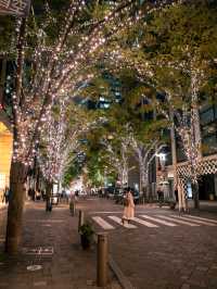 【毎年大人気のイルミネーション！✨】無料で回れる丸の内イルミに行くべき！🎄