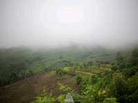 ปล่อยใจไปน่าน@บ้านภูแววิว Phuvae View Home