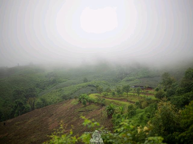 ปล่อยใจไปน่าน@บ้านภูแววิว Phuvae View Home
