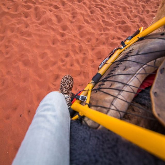 Uluru Sunrise Camel Riding Once in a Lifetime