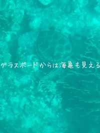 石垣島で行きたい！透明度抜群のビーチ3選