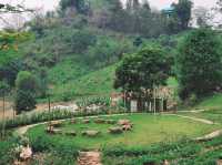 โมริ เนเชอรัล ฟาร์ม คาเฟ่และที่พักสวยสไตล์ญี่ปุ่น