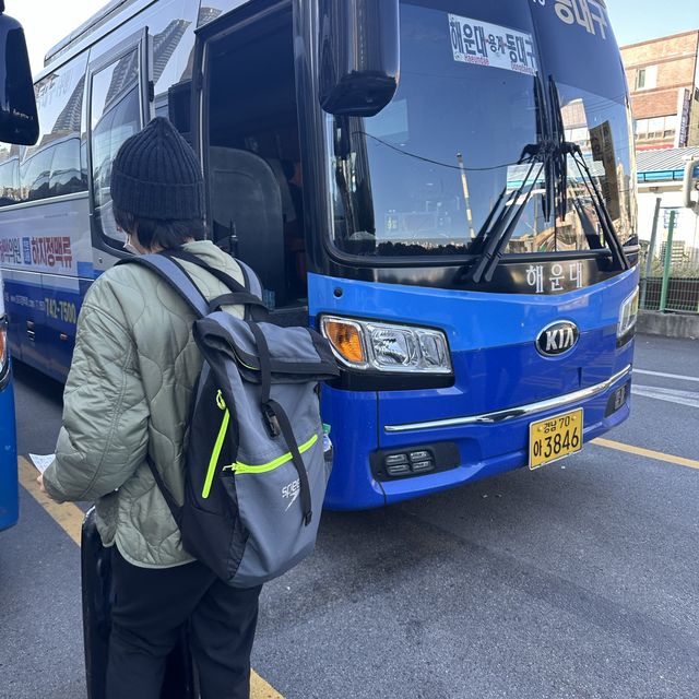 韓國｜釜山 從釜山海雲台搭市外巴士到東大邱分享