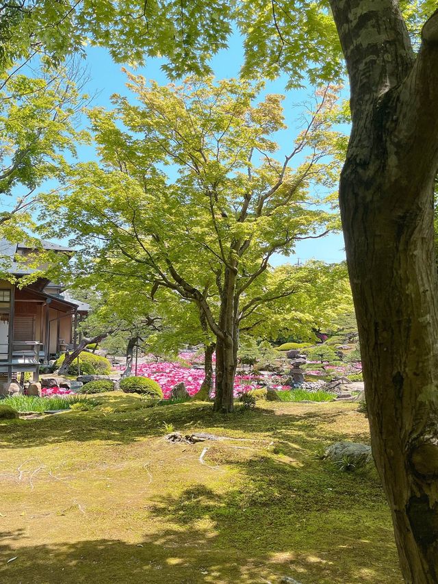 【島根　松江市】　由志園