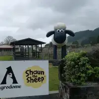紐西蘭觀光牧場【愛歌頓Agrodome】半日體驗